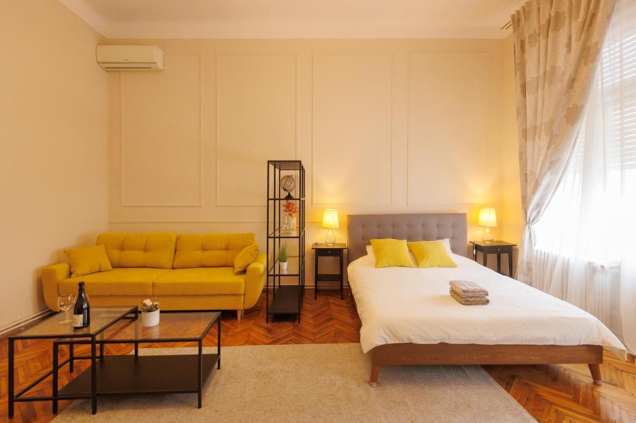 Spacious Flat In Old Town Wi-Fi Timişoara Exterior foto