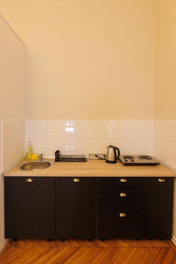 Spacious Flat In Old Town Wi-Fi Timişoara Exterior foto
