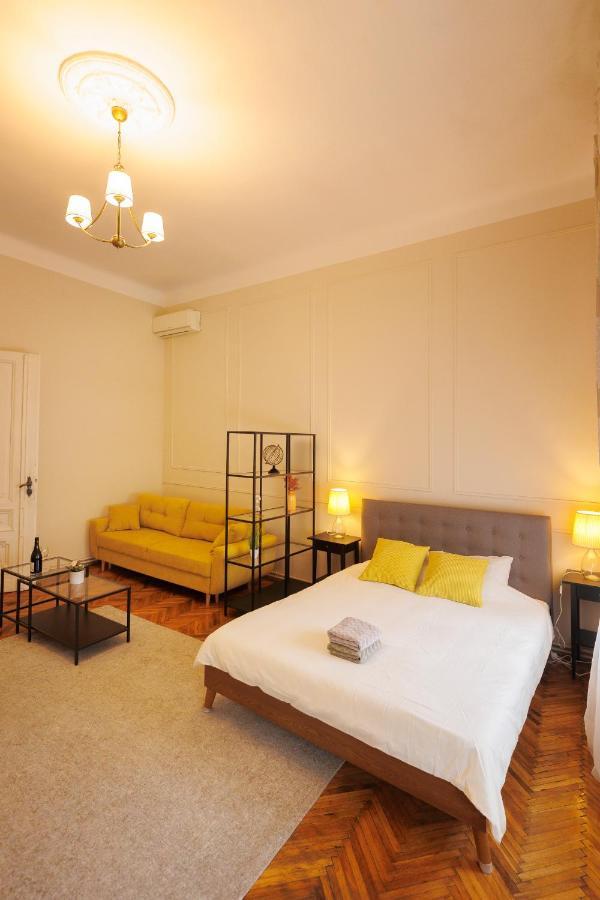 Spacious Flat In Old Town Wi-Fi Timişoara Exterior foto